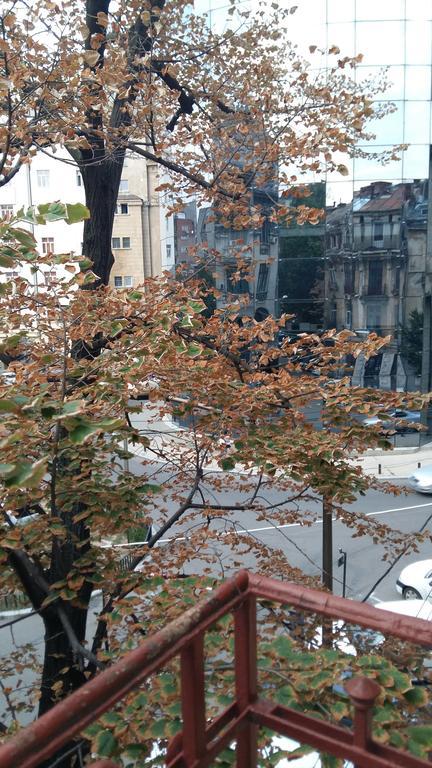Lorena Apart Old Town Bukarest Kültér fotó